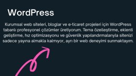 Profesyonel WordPress Siteleri – Güvenli ve Yönetilebilir