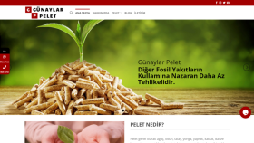 Günaylar Pelet Projesi