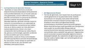 Traducción del español al turco 