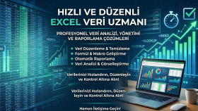 veri girişi ve Excel raporlama işlerinizi titizlikle yaparım