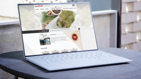 sizin için profesyonel web sitesi hazırlayabilirim
