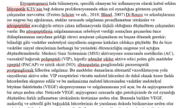 Tıbbi Akademik Çalışma (Tartışma)