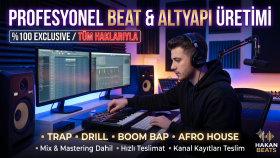 istediğiniz tarzda profesyonel beat (altyapı) yapabilirim