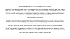 Küçük Şeylerin Büyük Huzuru: Günlük Rutinlerde Mutluluk