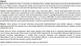 İş örneğim