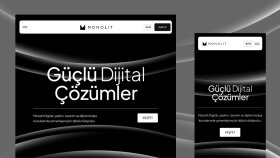Anahtar teslim website