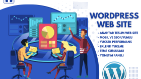 anahtar teslim wordpress sitesi için tüm süreci üstleniyorum