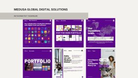 Medusa Global Digital Solutions
