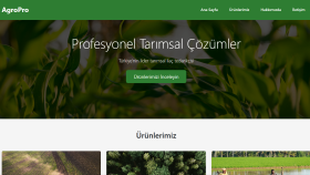 freelance web geliştiriyorum