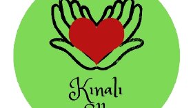 Firma ve kişi  logo deneyimleri 