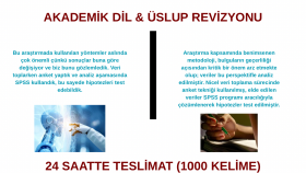 akademik metinlerinizi profesyonelce redakte ederim