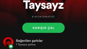 TAYSAYZ