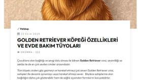 Golden Retriever Köpeği Özellikleri Ve Evde Bakım  Tüyoları