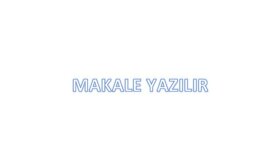istediğiniz içerikte profesyonel makale ve metinler yazarım