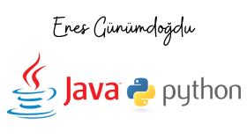 Java ve Python için algoritma ve kod geliştirebilirim