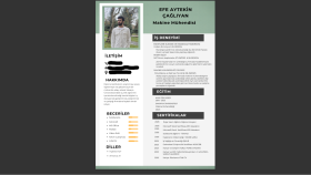profesyonel bir özgeçmiş oluşturabilirim