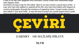 Hikaye & Roman ve metin çevirisi 