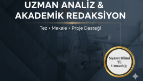 YL derecemle akademik belgeleri analiz ederim
