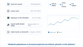 akademik ekonometrik ve istatistiksel analizler yaparım