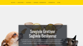 anahtar teslim, mobil uyumlu bir web sitesi hazırlarım