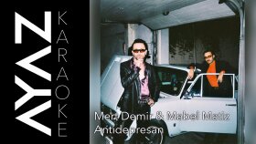 Akustik Karaokeler