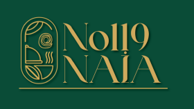 No119Naia - Logo Çalışması