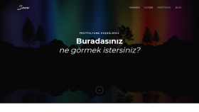 örnek wordpress tema