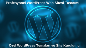 seo uyumlu WordPress web siteleri oluşturabilirim