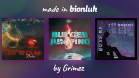 Albüm\Şarkı Kapağı örneklerim
