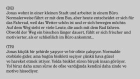 Almanca Çeviri