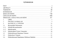 tezinizi enstitünüze göre biçimsel düzenlemesini yaparım