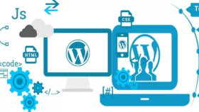 Wordpress tema kurulumu ve hata gidermelerinizi yapabilirim