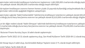 ticari risk analizi ve istihbarat yaparım