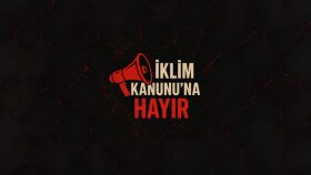 canva uygulamasından profesyonel logo tasarlayabilirim