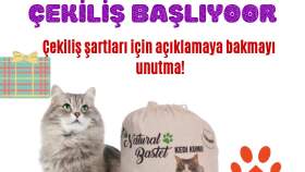 İş örneğim