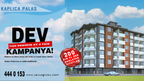 Sosyal Medya Tasarımı
