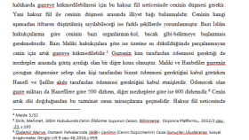 Özgün Yazılar