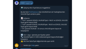Finansal Veri Çekme ve Hesaplama Botu | Python+ API+Telegram