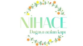 Konsept Logo Tasarımı