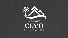 Profesyonel Logo Tasarımı