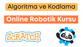 online robotik kodlama eğitimi veririm