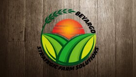 Uyarlama logo tasarımı