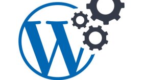 wordpress ve woocommerce sitelerinizi sizin için yapabilirim