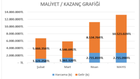 Maliyet Analizi ve Gider Kontrolü Çalışması