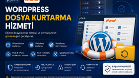 silinen WordPress sitenizi güvenle geri yüklüyorum
