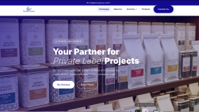 Web Sitesi Tasarımı