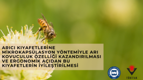 sizin için hibe destek projeleri sunumları hazırlarım