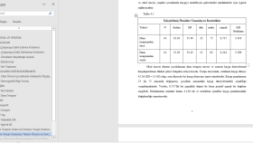 Bir müşteri için SPSS'deki verileri analiz ettim