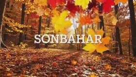 Sonbahar İsimli Şiir Seslendirmesi