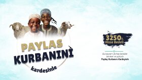 uzman bir şekilde broşür ve afiş oluştururum